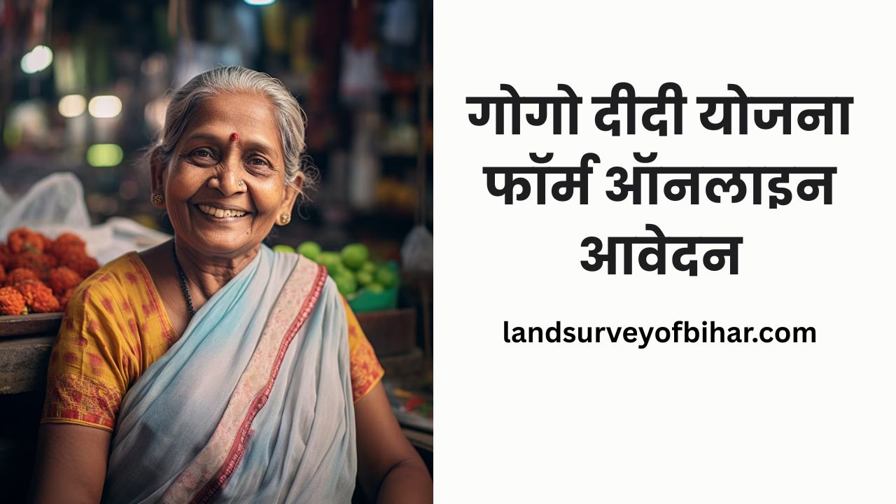 GO GO Didi Yojana Online Apply​
